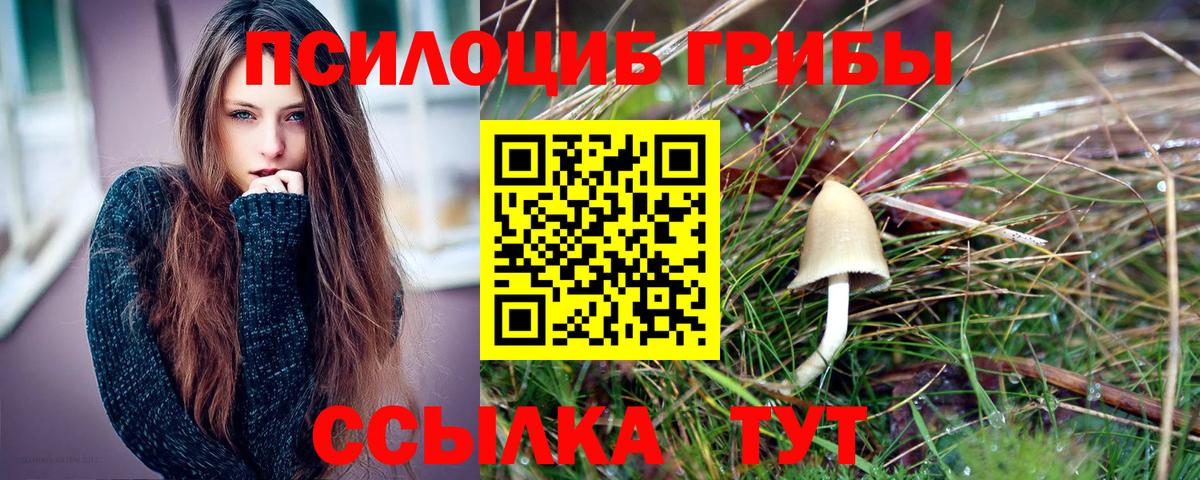 Галлюциногенные грибы Psilocybe  Вход с VPN  Курганинск  Псилоцибиновые грибы Psilocybe 