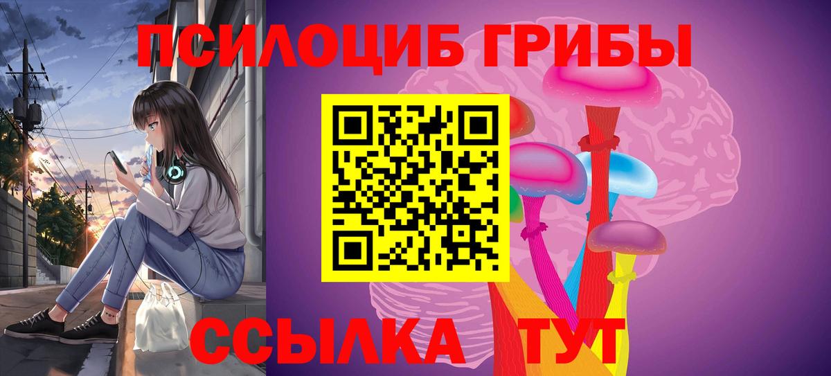 Псилоцибиновые грибы Psilocybine cubensis Курганинск